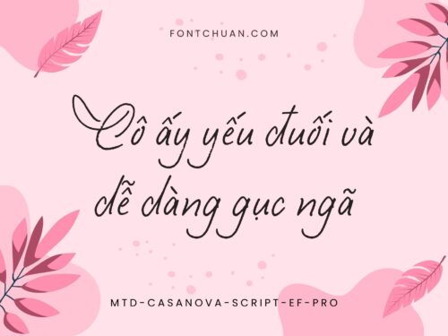 Font MTD Casanova Script Ef Pro Việt Hóa