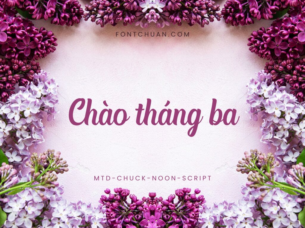 Font MTD Chuck Noon Script Việt Hóa