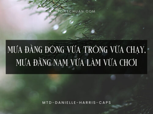 Font MTD Danielle Harris Caps Việt Hóa