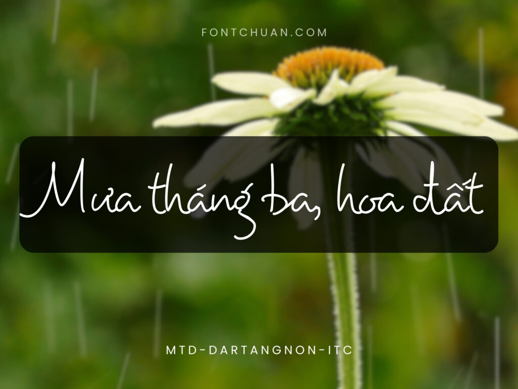 Font MTD Dartangnon Itc Việt Hóa