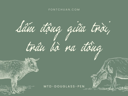 Font MTD Douglass Pen Việt Hóa
