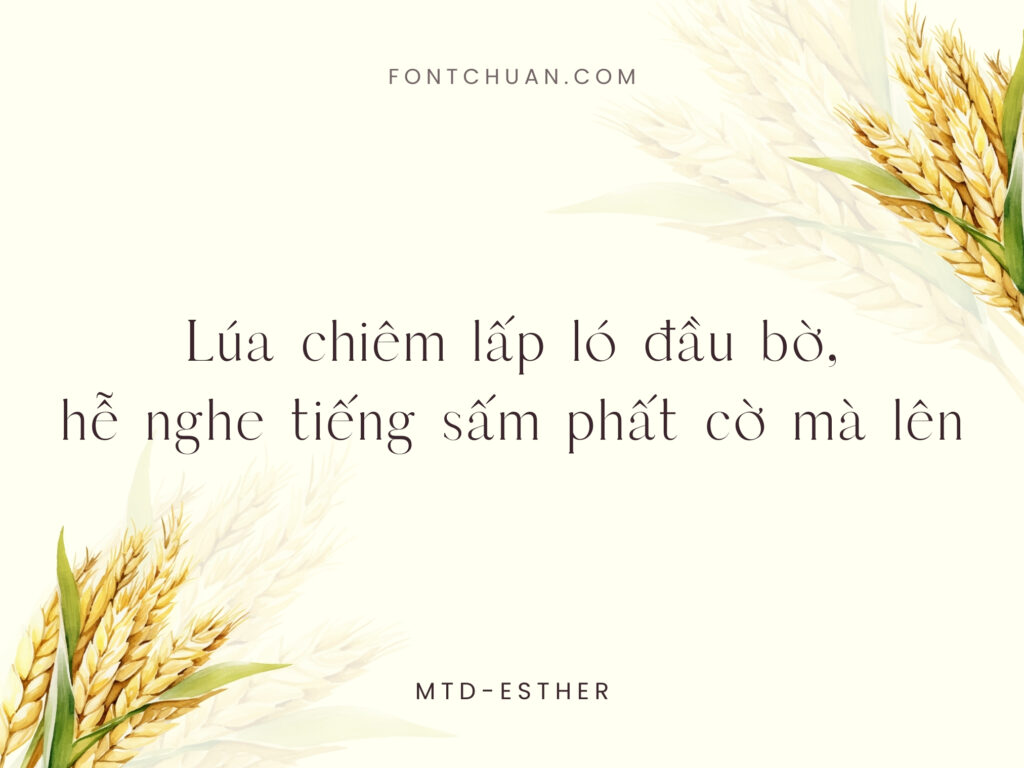 Font MTD Esther Việt Hóa