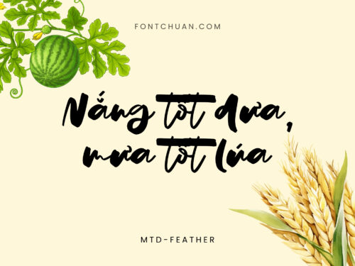 Font MTD Feather Việt Hóa