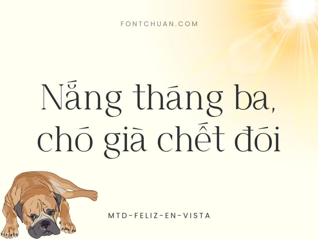 Font MTD Feliz En Vista Việt Hóa