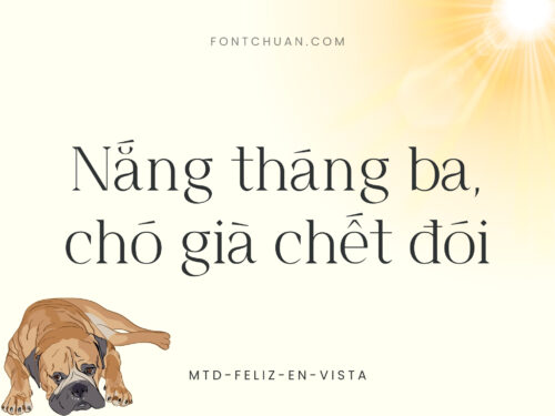 Font MTD Feliz En Vista Việt Hóa