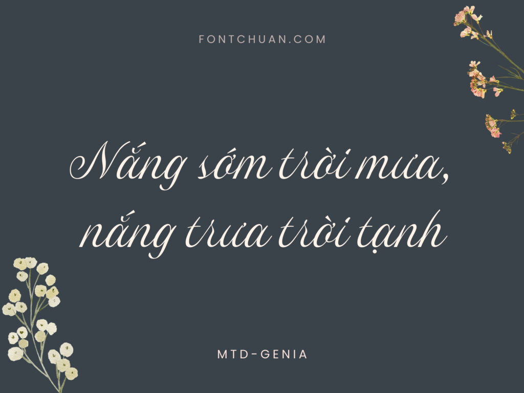 Font MTD Genia Việt Hóa