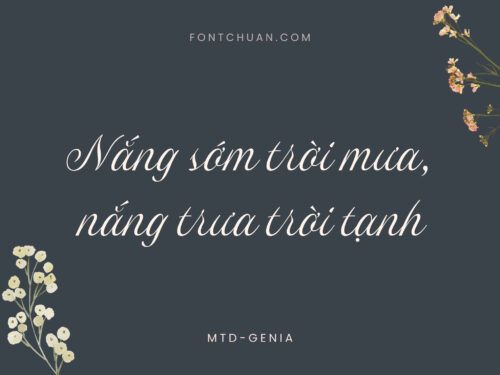 Font MTD Genia Việt Hóa