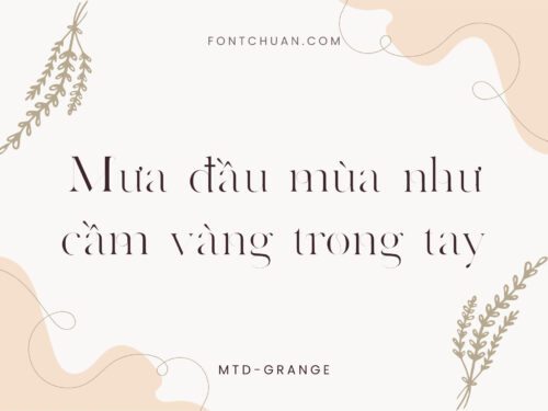 Font MTD Grange Việt Hóa