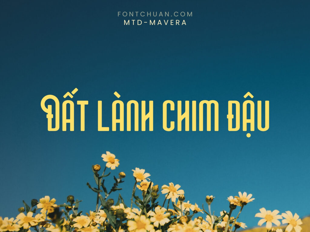 Font MTD Mavera Việt Hóa