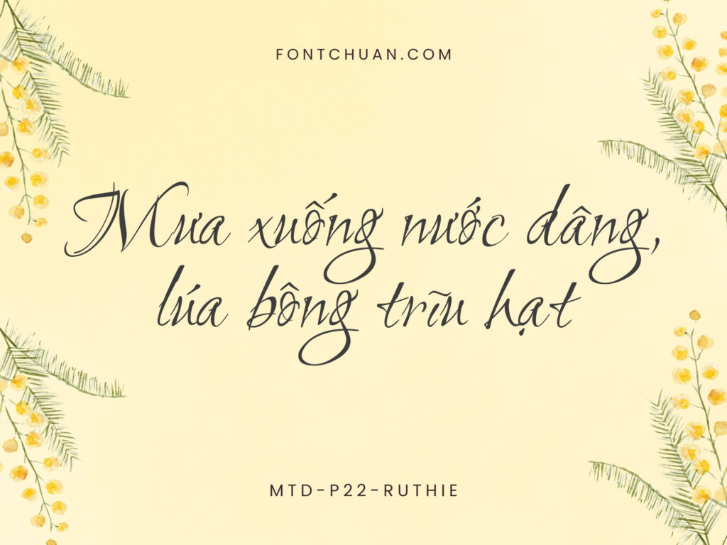 Font MTD P22 Ruthie Việt Hóa