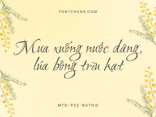 Font MTD P22 Ruthie Việt Hóa