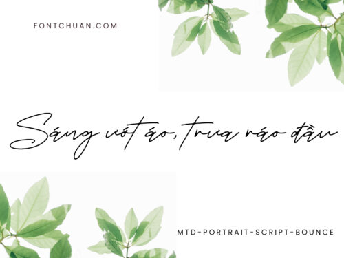 Font MTD Portrait Script Bounce Việt Hóa