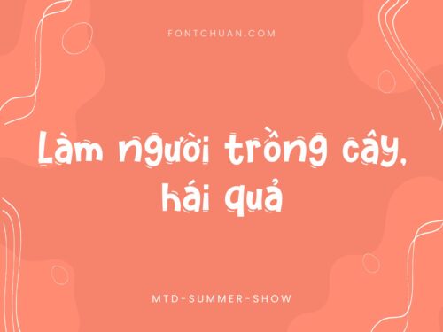 Font MTD Summer Show Việt Hóa