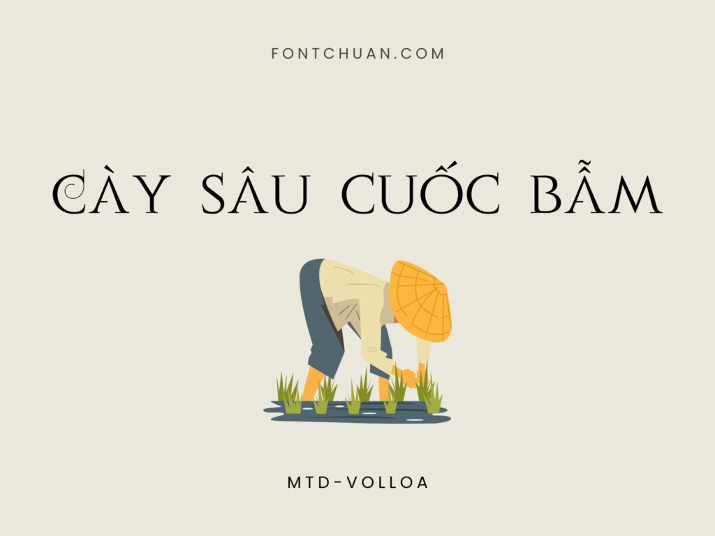 Font MTD Volloa Việt Hóa