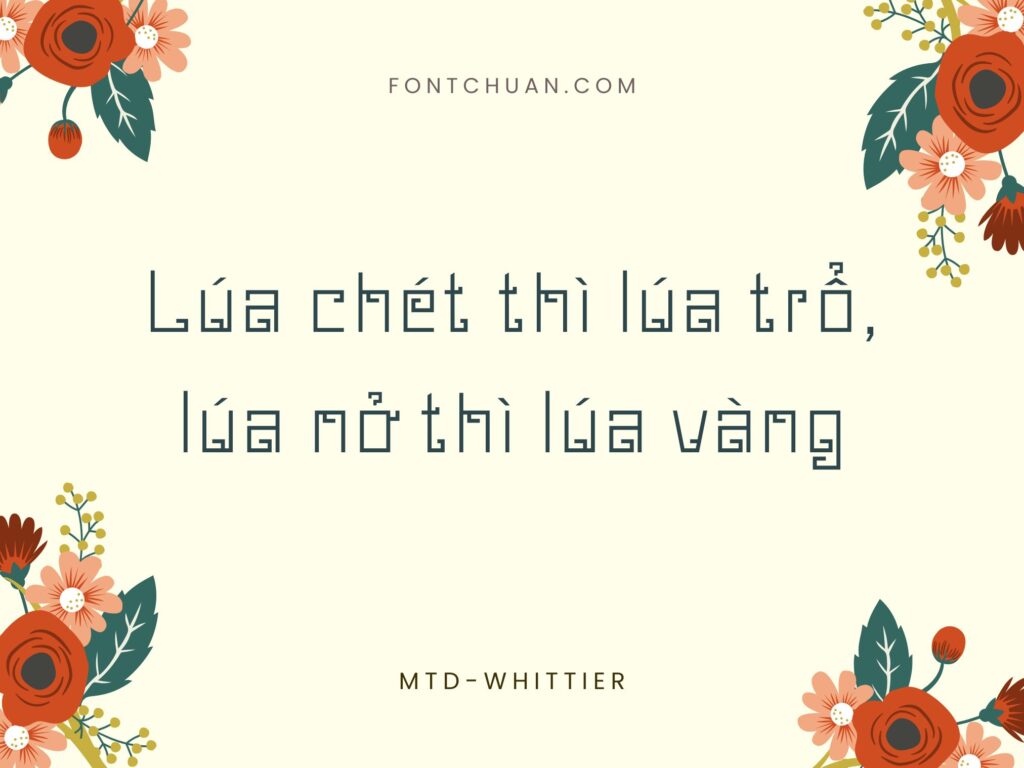 Font MTD Whittier Việt Hóa