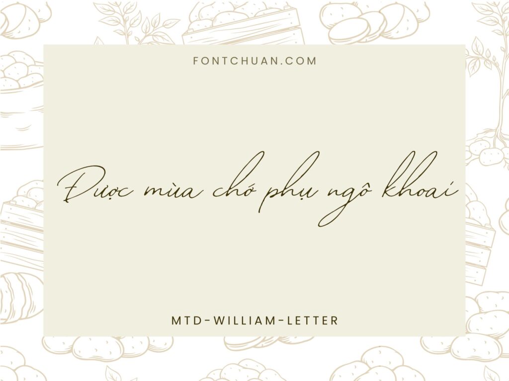 Font MTD William Letter Việt Hóa