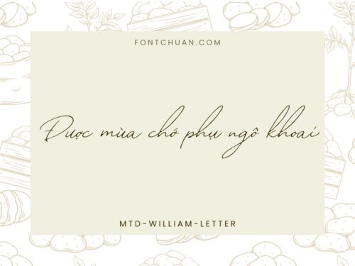 Font MTD William Letter Việt Hóa