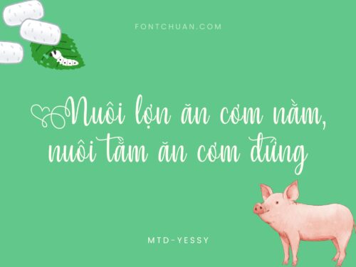 Font MTD Yessy Việt Hóa