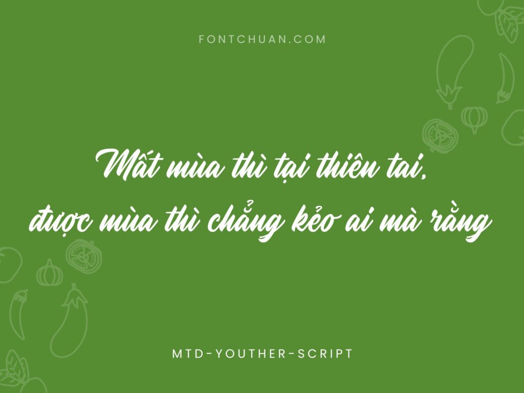 Font MTD Youther Script Việt Hóa