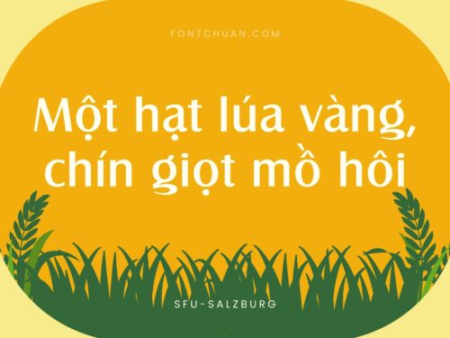 Font SFU Salzburg Việt Hóa