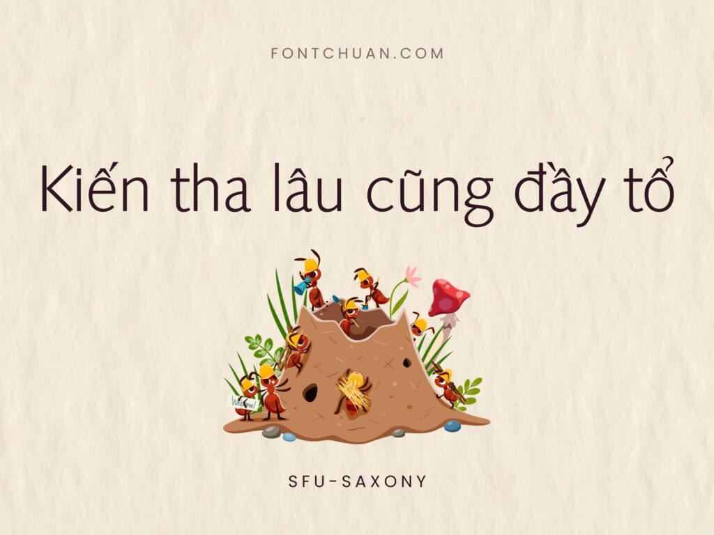 Font SFU Saxony Việt Hóa