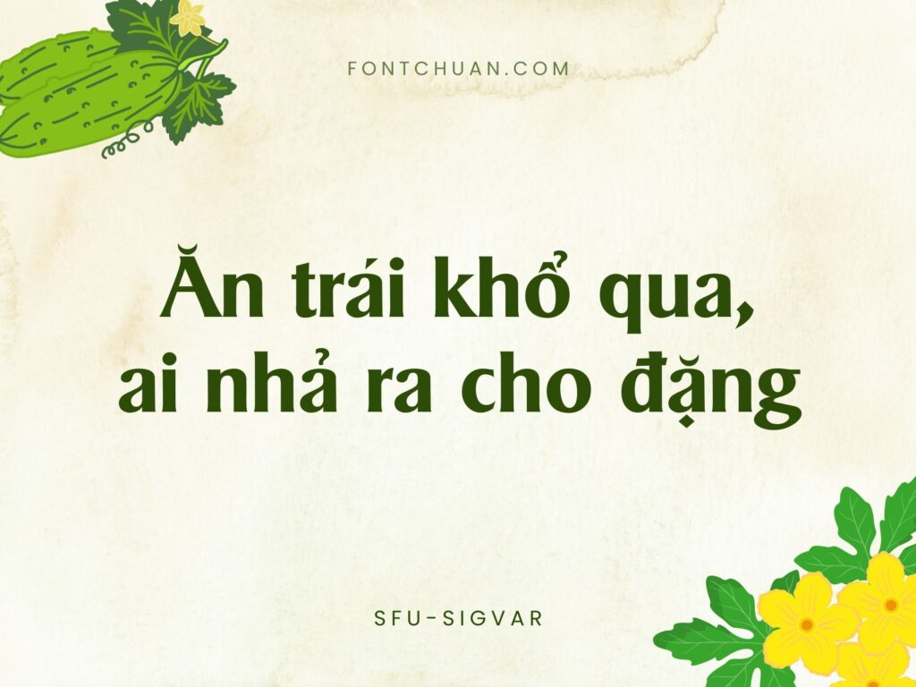 Font SFU Sigvar Việt Hóa