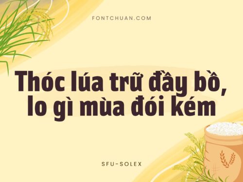 Font SFU Solex Việt Hóa