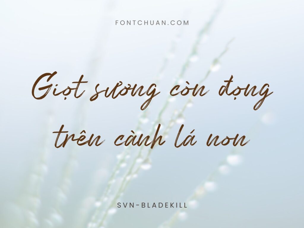 Font SVN Bladekill Dạng Brush Việt Hóa
