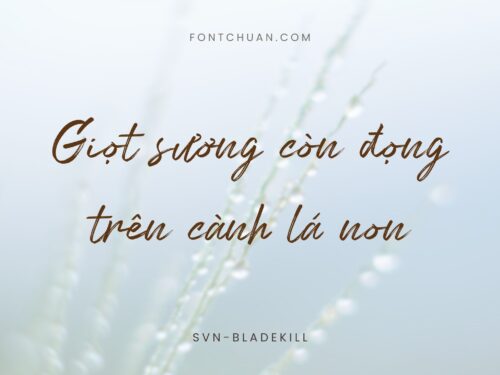 Font SVN Bladekill Dạng Brush Việt Hóa