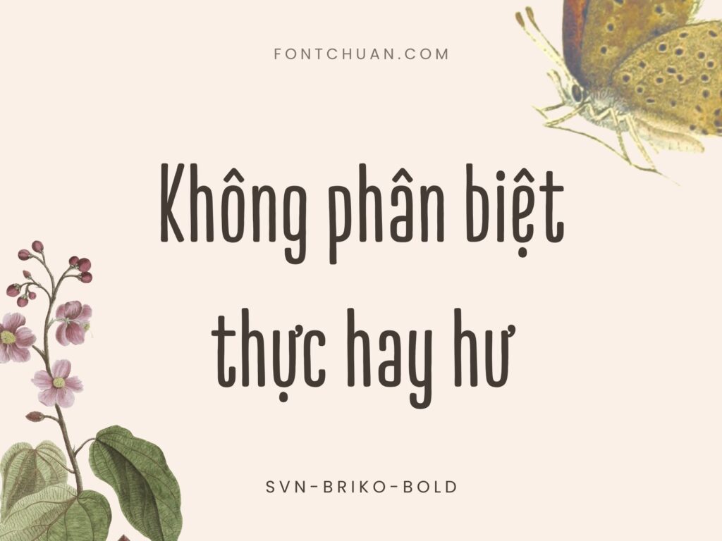 Font SVN Briko Bold Việt Hóa