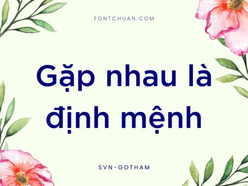 Font SVN Gotham Sử Dụng Trong Logo Tiktok Việt Hóa