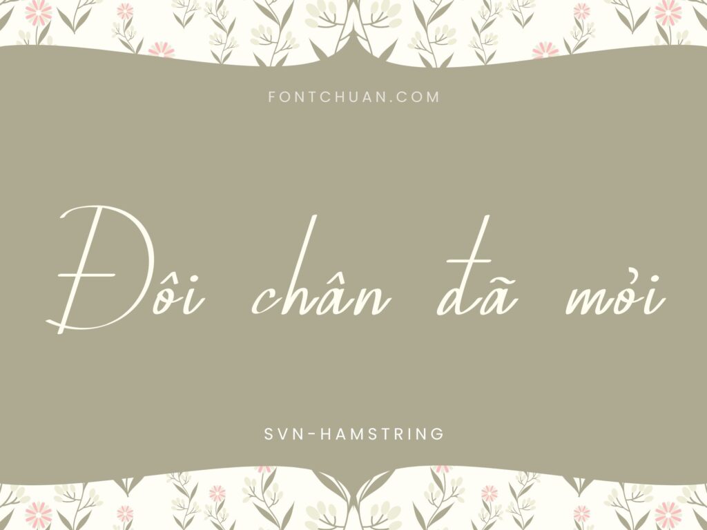 Font SVN Hamstring Việt Hóa