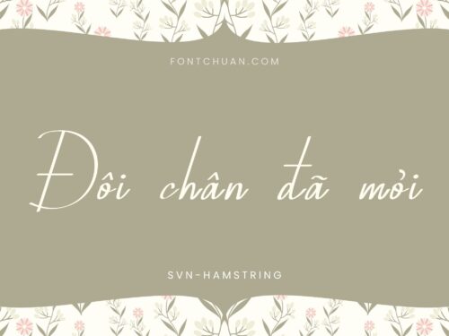 Font SVN Hamstring Việt Hóa