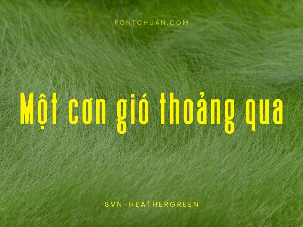 Font SVN Heathergreen Việt Hóa