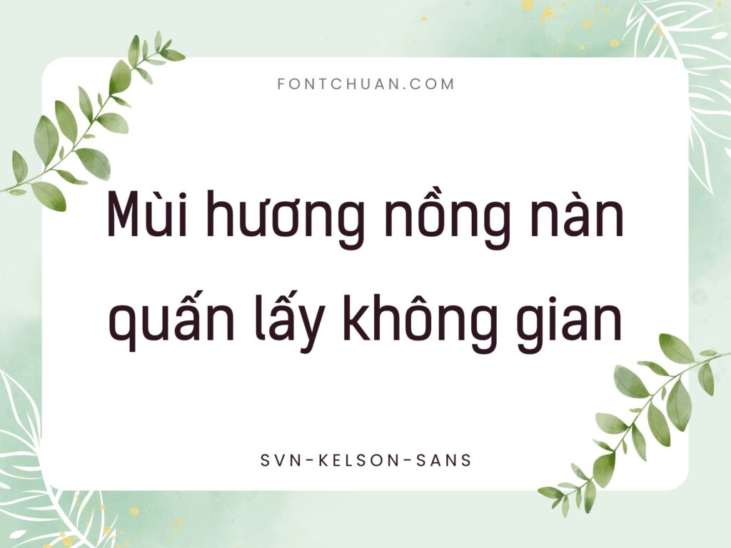 Font SVN Kelson Sans Trọn Bộ Việt Hóa