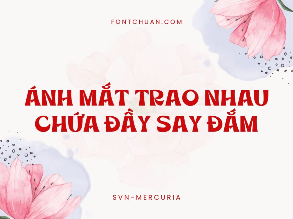 Font SVN Mercuria Việt Hóa