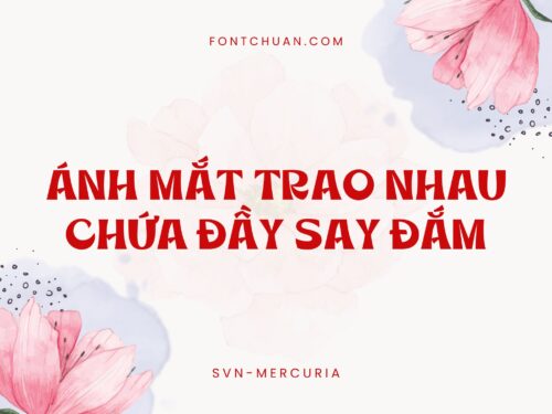 Font SVN Mercuria Việt Hóa