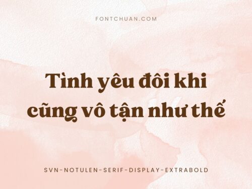 Font SVN Notulen Serif Display Extrabold Việt Hóa