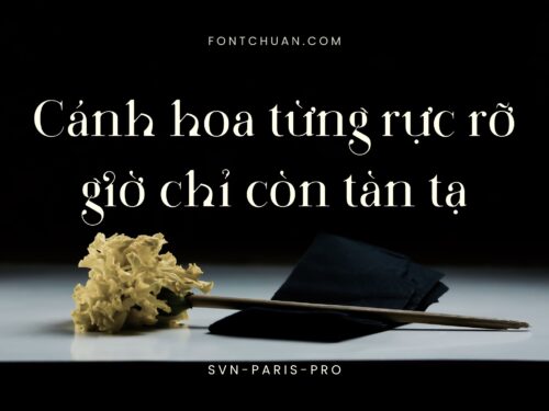 Font SVN Paris Pro Việt Hóa