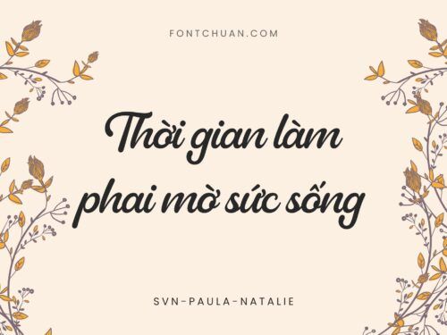 Font SVN Paula Natalie Việt Hóa