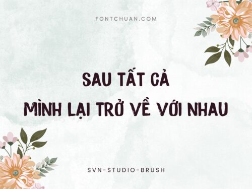 Font SVN Studio Brush Việt Hóa