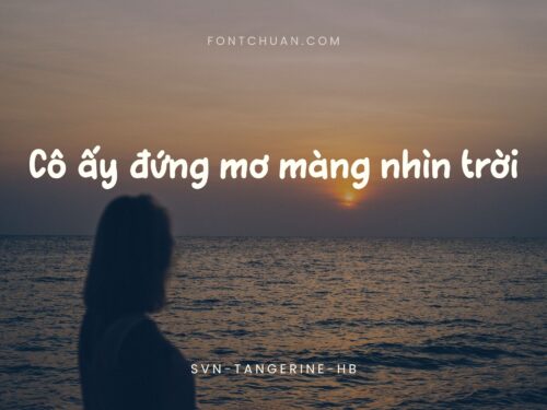 Font SVN Tangerine Hb Việt Hóa