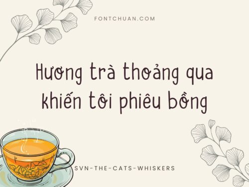 Font SVN The Cat Whiskers Việt Hóa
