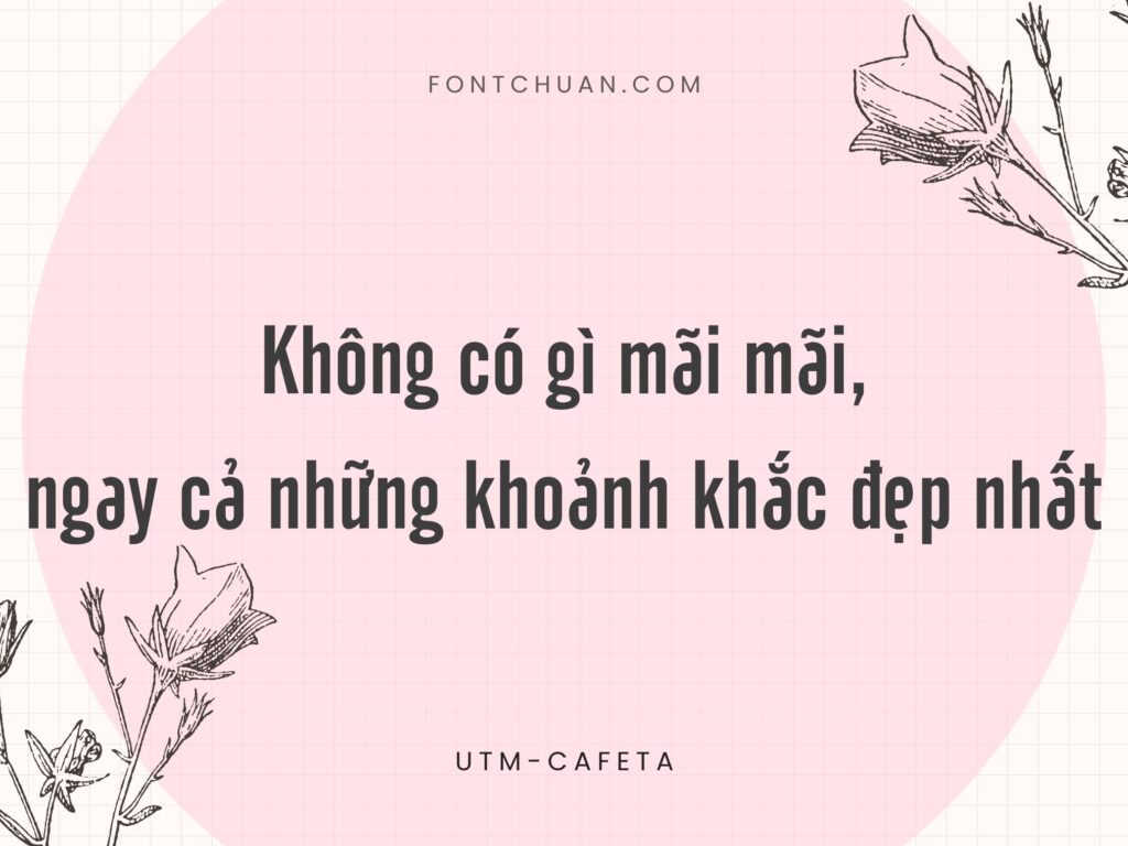 Font UTM Cafeta Việt Hóa