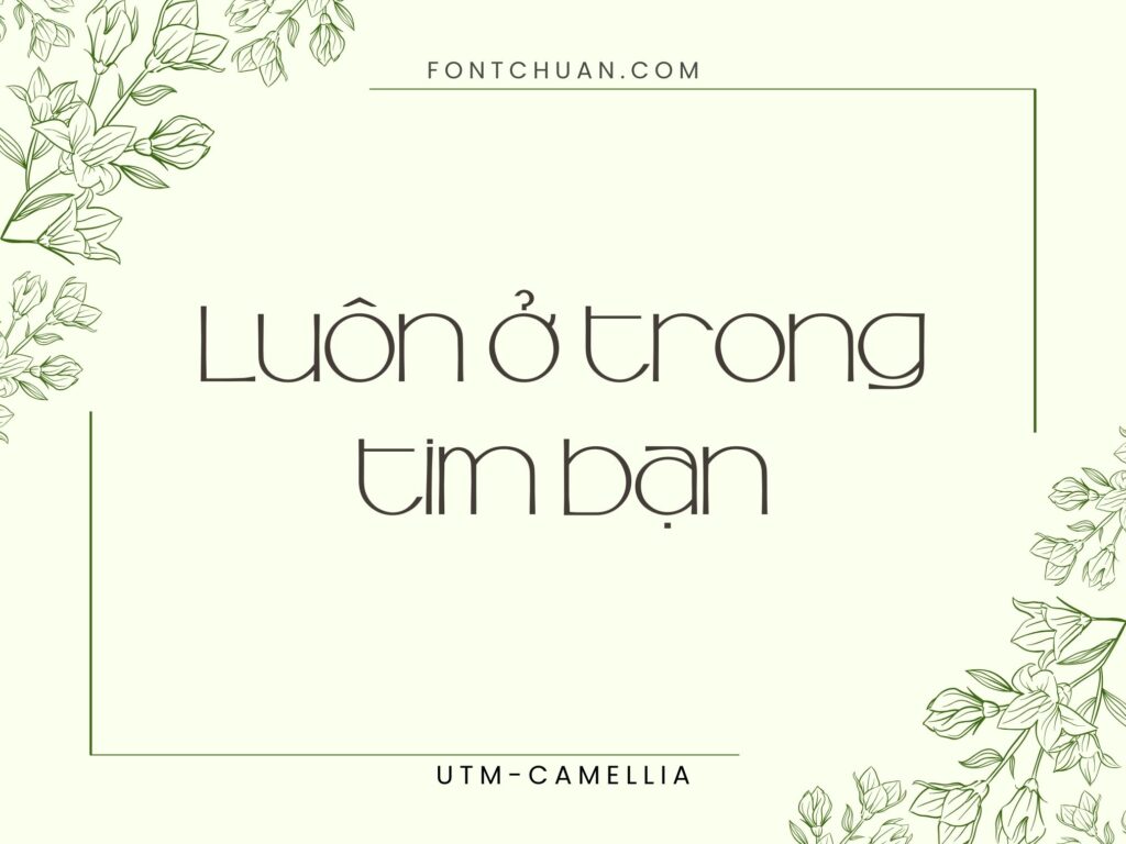 Font UTM Camellia Trọn Bộ Việt Hóa