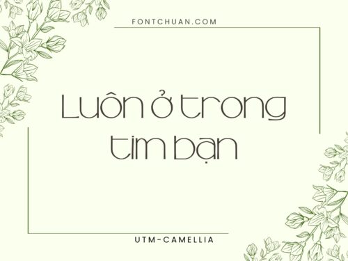 Font UTM Camellia Trọn Bộ Việt Hóa