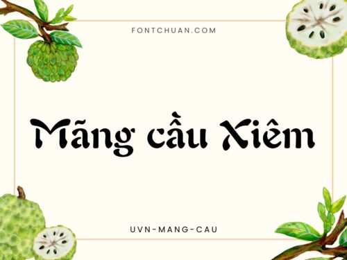Font UVN Mang Cau Việt Hóa