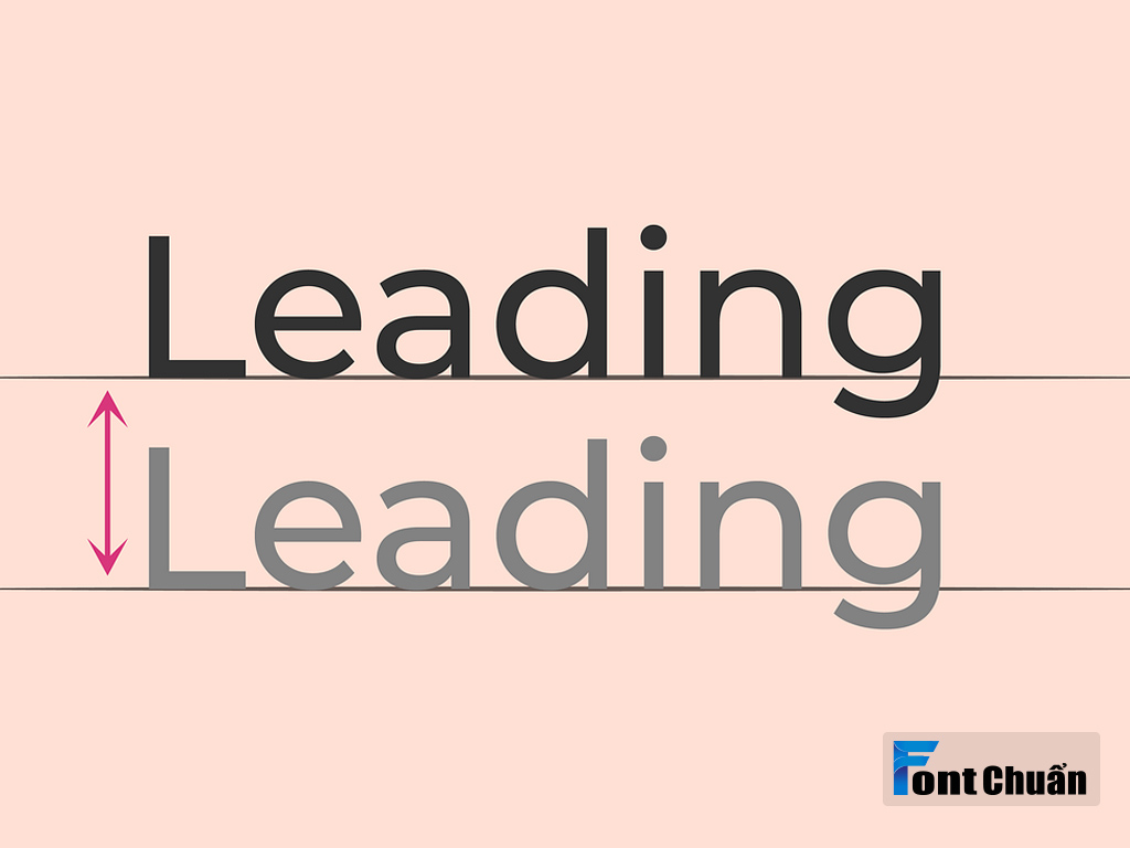 Leading (Line-height) là gì?