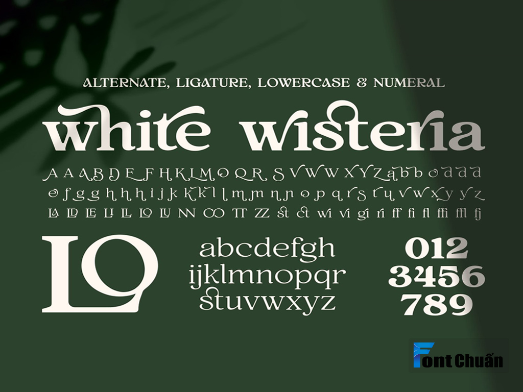 Ví dụ một số cặp chữ ghép phổ biến trong Typography